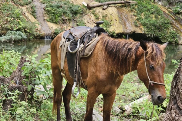 Vandfaldet Las Cascadas